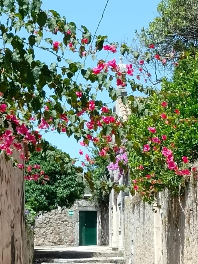 Appartamento Seaview Old Town *